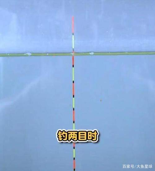 钓沉底钓鱼技巧?平水水上训练收费吗-图3 钓沉底钓鱼技巧?平水水上训练收费吗-图3