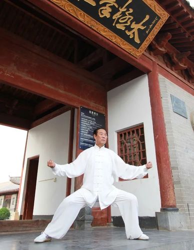 我想学陈式太极拳,到底学什么套路好?陈家沟景区收费吗-图2 我想学陈式太极拳,到底学什么套路好?陈家沟景区收费吗-图2