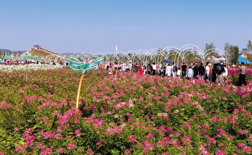 枫林花海现在开放吗？常德枫林花海怎么收费