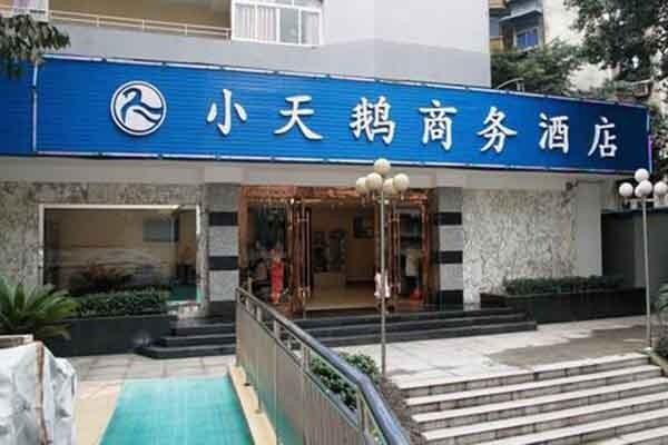 小天鹅会飞吗？武汉小天鹅宾馆停车收费-图1