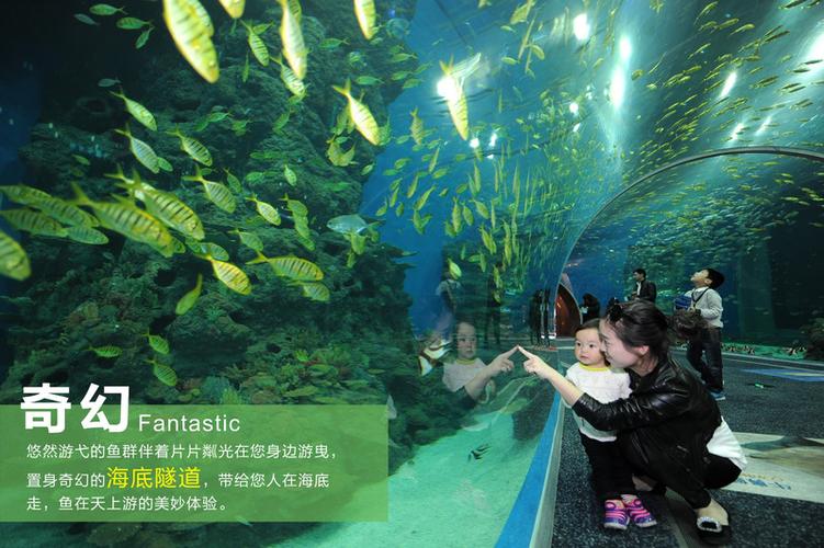 成都哪个海洋馆适合亲子游?成都海洋馆儿童收费不-图2 成都哪个海洋馆适合亲子游?成都海洋馆儿童收费不-图2