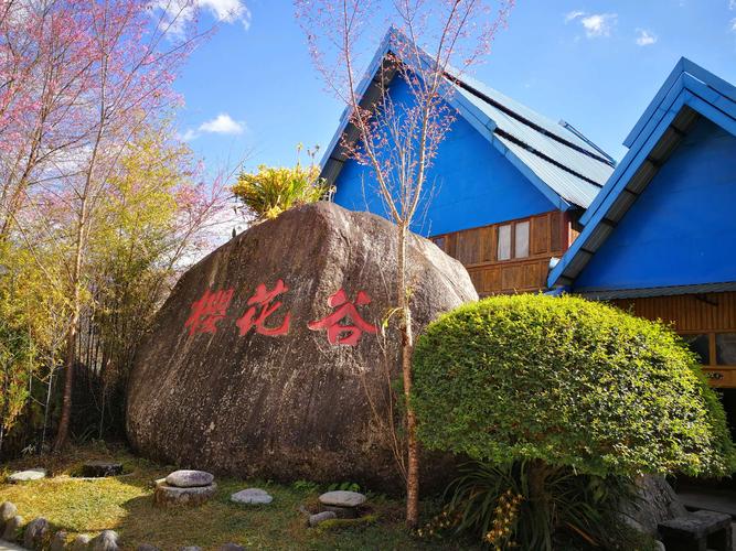 腾冲樱花谷温泉门票?腾冲荷兰温泉收费-图2 腾冲樱花谷温泉门票?腾冲荷兰温泉收费-图2