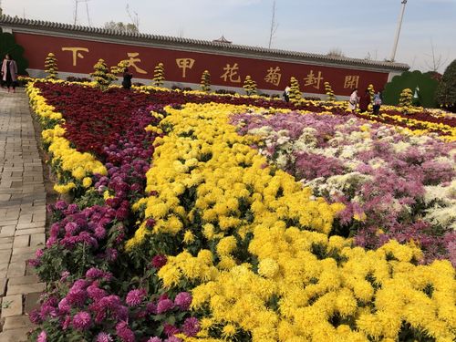 开封汴京公园是否要闭园?开封中国菊园收费吗-图2 开封汴京公园是否要闭园?开封中国菊园收费吗-图2