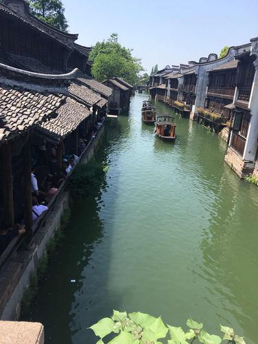 乌镇停旁边村子要收费吗？乌镇古镇旅游区收费吗