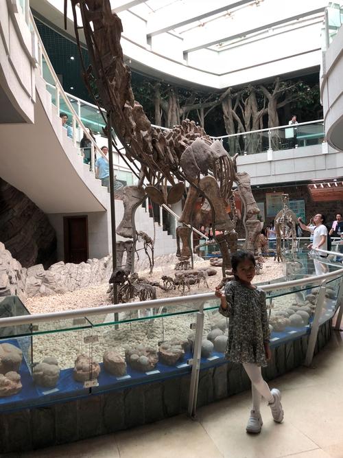 深圳古生物博物馆现在开放了吗?深圳古生物博物馆要收费吗-图2 深圳古生物博物馆现在开放了吗?深圳古生物博物馆要收费吗-图2
