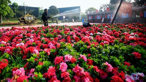 2021国庆蜀国鹃都要门票吗?成都蜀国鹃都各项收费