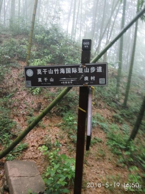 露水河和莫干山哪个好？莫干山徒步路线收费吗