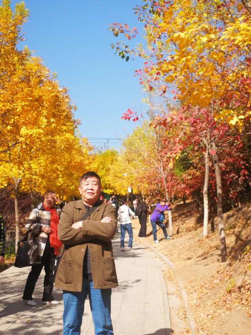 北宫森林公园需要预约购票吗?北宫国家森林公园早上不收费-图3 北宫森林公园需要预约购票吗?北宫国家森林公园早上不收费-图3