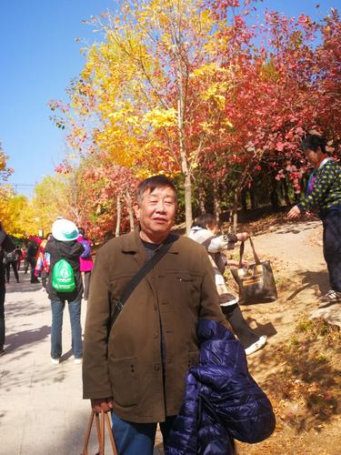 北宫森林公园需要预约购票吗?北宫国家森林公园早上不收费-图2 北宫森林公园需要预约购票吗?北宫国家森林公园早上不收费-图2