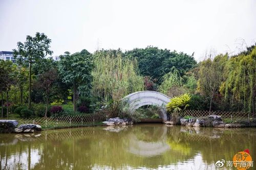 花卉公园幽兰苑从哪里进去?南宁台湾花卉园收费么-图2 花卉公园幽兰苑从哪里进去?南宁台湾花卉园收费么-图2