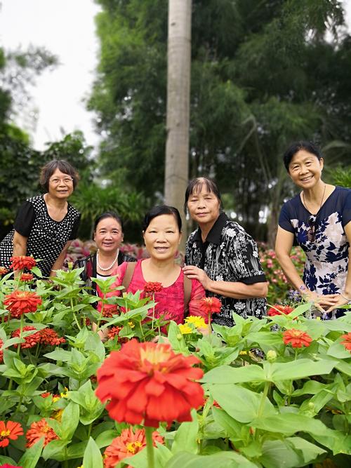 花卉公园幽兰苑从哪里进去?南宁台湾花卉园收费么-图3 花卉公园幽兰苑从哪里进去?南宁台湾花卉园收费么-图3