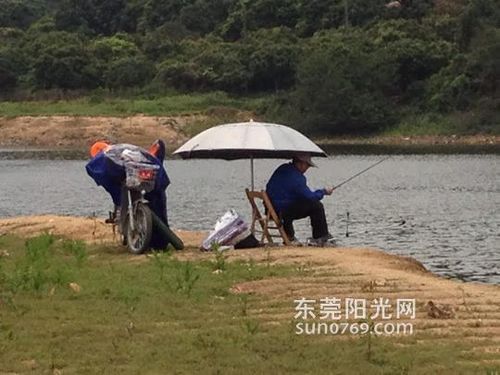 东莞厚街有哪些鱼具店有红虫铒买？还有就是东莞有那些水库钓鱼不收费的？同安沙溪水库要收费吗