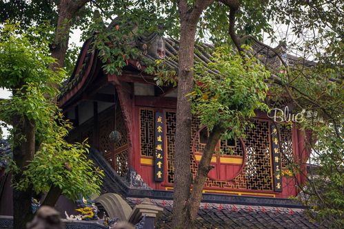 客都人家周边有什么玩的?宝光寺到都江堰有不收费的路吗-图2 客都人家周边有什么玩的?宝光寺到都江堰有不收费的路吗-图2