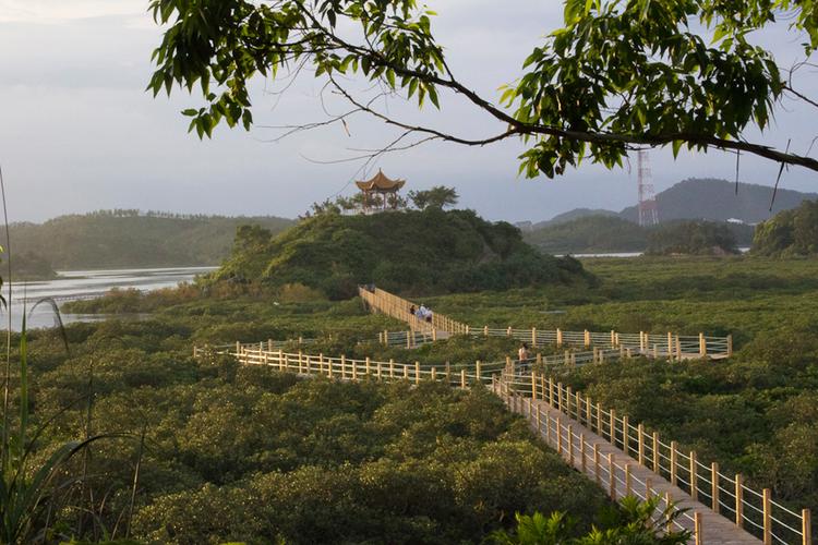 钦州附近自驾游景点?钦州仙岛公园收费么-图2 钦州附近自驾游景点?钦州仙岛公园收费么-图2
