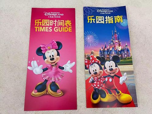 上海迪士尼一对一导游哪里找？上海私人导游怎么收费-图3