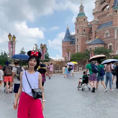 上海迪士尼一对一导游哪里找？上海私人导游怎么收费