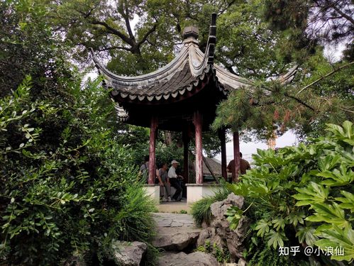 苏州有什么免费园林?苏州五峰园要收费吗-图3 苏州有什么免费园林?苏州五峰园要收费吗-图3