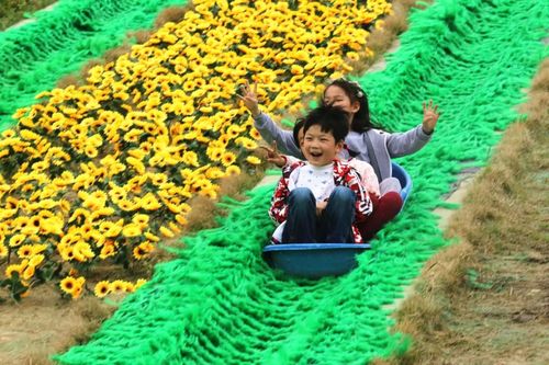 花海乐园游乐项目介绍?木兰花海乐园游乐设施收费-图2 花海乐园游乐项目介绍?木兰花海乐园游乐设施收费-图2