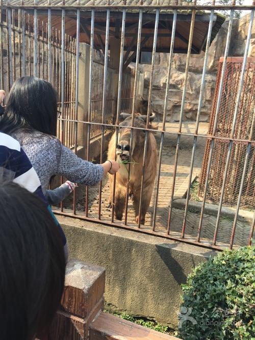 苏州有几个动物园?苏州鹤家 儿童收费-图2 苏州有几个动物园?苏州鹤家 儿童收费-图2