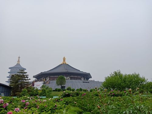 居委会和街道有执法权吗?洛阳天堂明堂景区停车场乱收费-图3 居委会和街道有执法权吗?洛阳天堂明堂景区停车场乱收费-图3