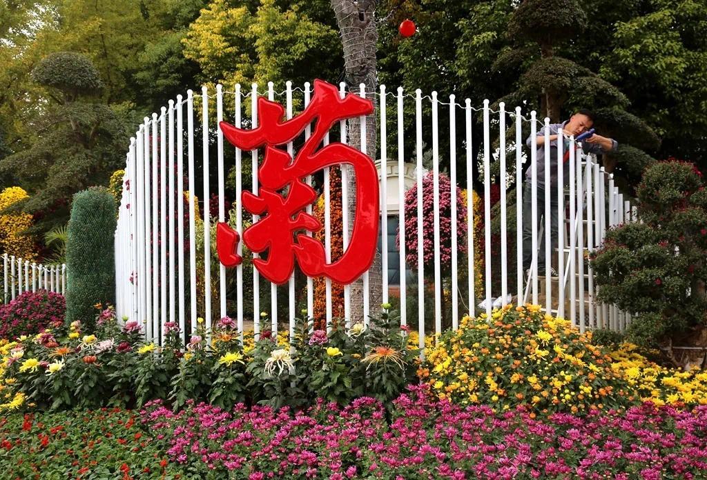 2020第31届南通菊花展?南通菊花展收费吗-图2 2020第31届南通菊花展?南通菊花展收费吗-图2