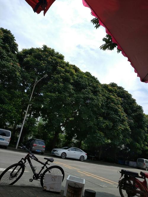 火炬开发区有什么好玩的?开发区803怎么收费-图3 火炬开发区有什么好玩的?开发区803怎么收费-图3