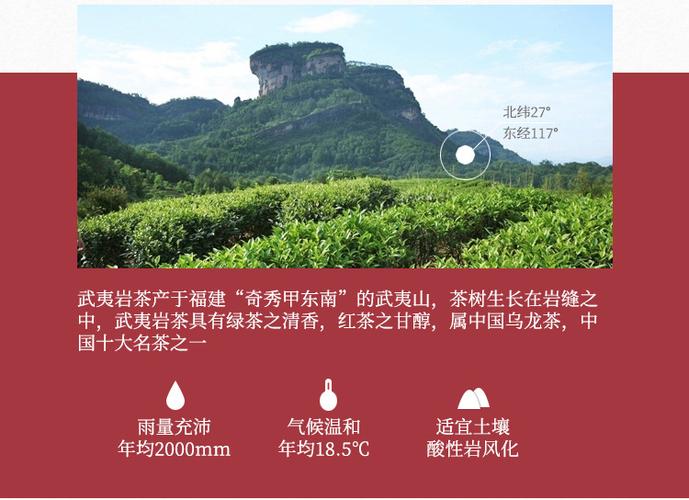 请问,回甘最强最持久的茶是什么茶?武夷山桐木关景区收费吗-图2 请问,回甘最强最持久的茶是什么茶?武夷山桐木关景区收费吗-图2
