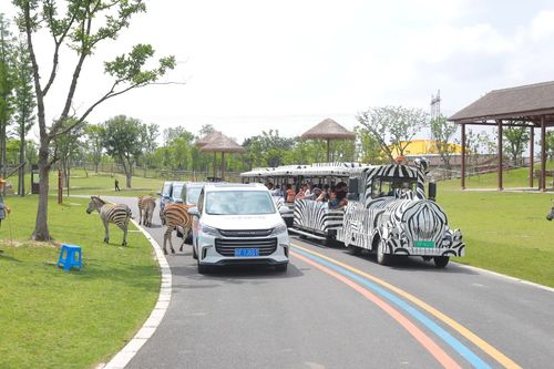 南通森林野生动物园攻略门票?南通森林野生动物园停车场收费吗-图3 南通森林野生动物园攻略门票?南通森林野生动物园停车场收费吗-图3