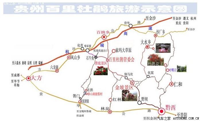 成都到毕节百里杜鹃旅游路线?宜宾 至贵州百里杜鹃收费多少-图2 成都到毕节百里杜鹃旅游路线?宜宾 至贵州百里杜鹃收费多少-图2