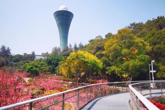 东渡狐尾山公园要票吗？厦门狐尾山公园东门停车收费