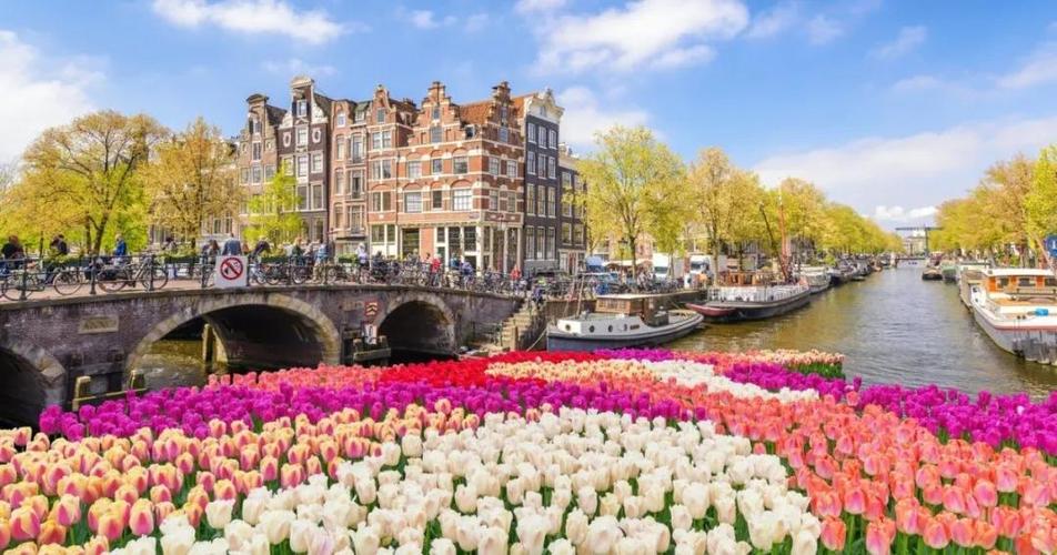 去荷兰旅游大概要花费多少钱？荷兰私人导游收费-图2