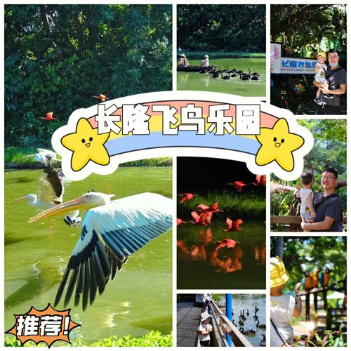 飞鸟乐园和欢乐世界一天玩行不？飞鸟乐园停车收费