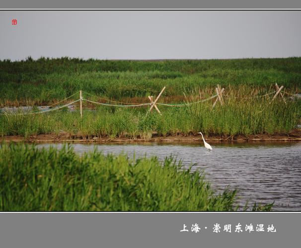 父母想去崇明岛定居，听说那里气候空气好，有人知道怎么样么？崇明东滩西滩那个不收费