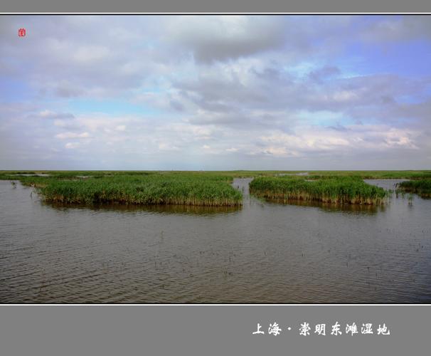 父母想去崇明岛定居,听说那里气候空气好,有人知道怎么样么?崇明东滩西滩那个不收费-图2 父母想去崇明岛定居,听说那里气候空气好,有人知道怎么样么?崇明东滩西滩那个不收费-图2