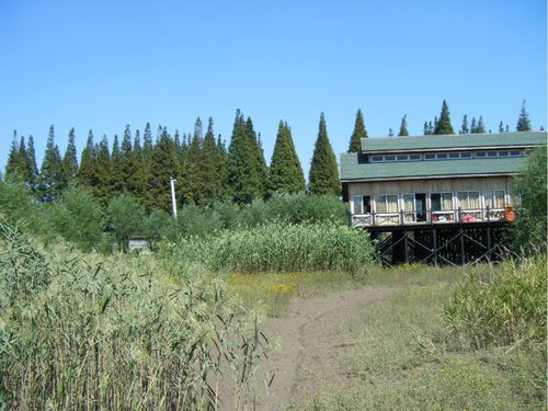 父母想去崇明岛定居,听说那里气候空气好,有人知道怎么样么?崇明东滩西滩那个不收费-图3 父母想去崇明岛定居,听说那里气候空气好,有人知道怎么样么?崇明东滩西滩那个不收费-图3