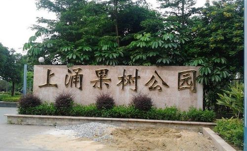东晓南有什么好玩的？上涌果树公园停车收费吗