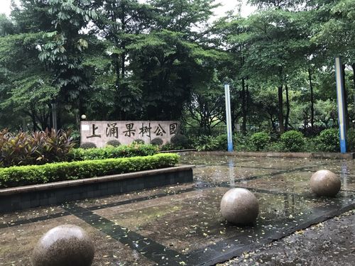 东晓南有什么好玩的?上涌果树公园停车收费吗-图3 东晓南有什么好玩的?上涌果树公园停车收费吗-图3