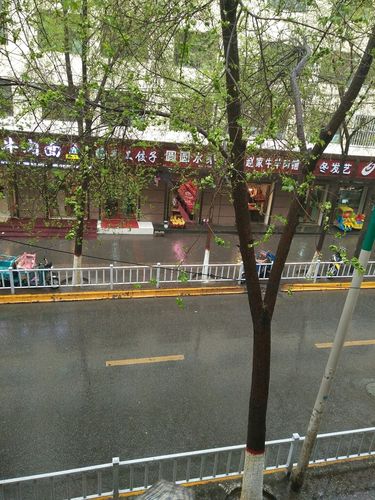 青海省西宁市富兴路到古城台二医院多少公里,公交东几站?高速西宁到古城收费多少-图2 青海省西宁市富兴路到古城台二医院多少公里,公交东几站?高速西宁到古城收费多少-图2