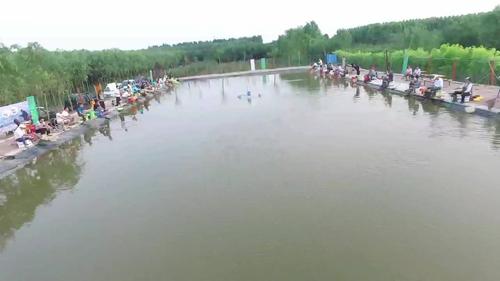寿光路亚去哪里钓？寿光林海生态园垂钓场收费吗