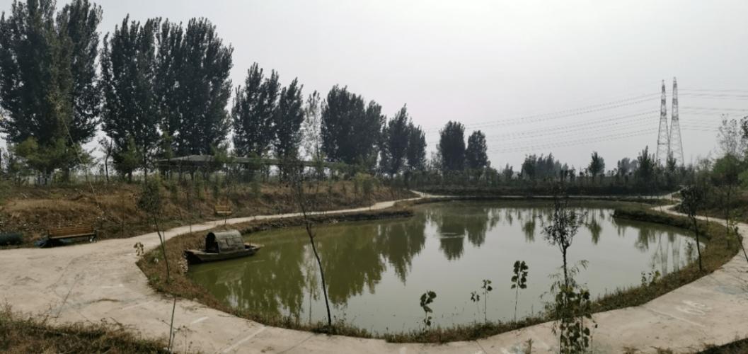 寿光路亚去哪里钓?寿光林海生态园垂钓场收费吗-图3 寿光路亚去哪里钓?寿光林海生态园垂钓场收费吗-图3