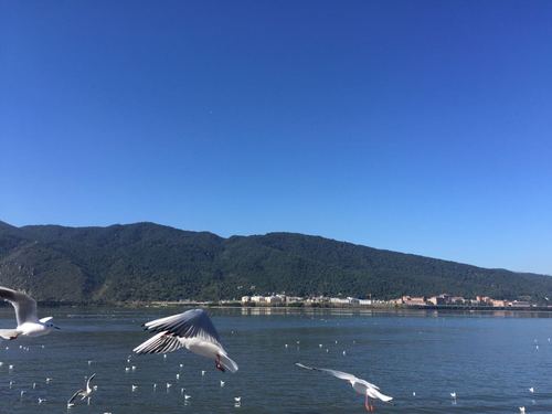 滇池周边景点?滇池附近哪些景点收费-图3 滇池周边景点?滇池附近哪些景点收费-图3