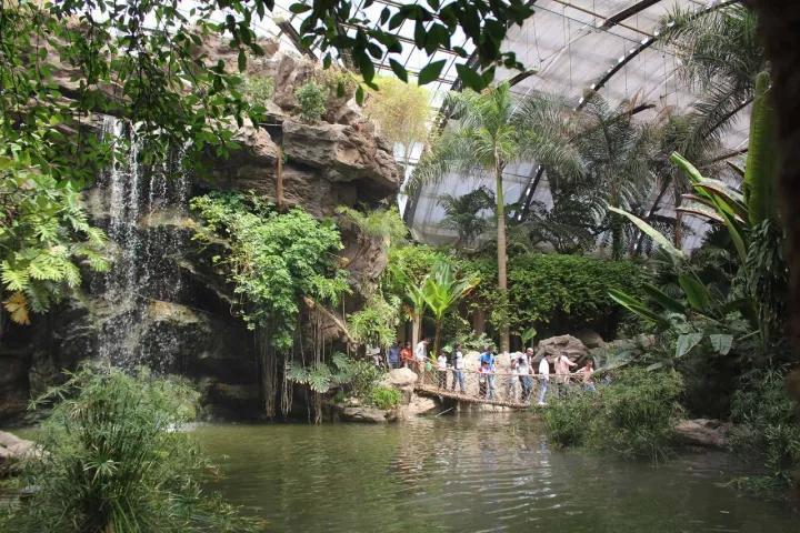 天津热带植物园门票?天津热带植物园小孩怎么收费-图2 天津热带植物园门票?天津热带植物园小孩怎么收费-图2