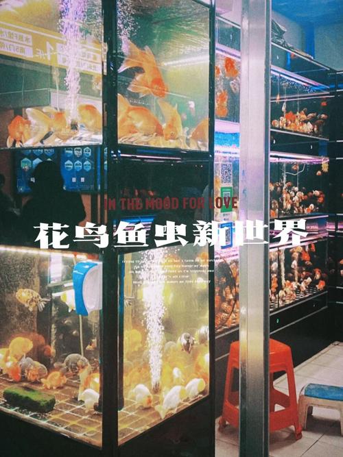 芳村花鸟鱼虫新世界停车攻略?广州芳村停车收费标准-图3 芳村花鸟鱼虫新世界停车攻略?广州芳村停车收费标准-图3