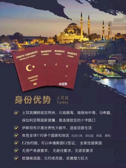 中国去土耳其是免签吗？土耳其签证儿童收费