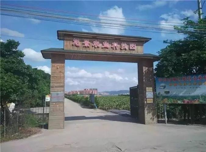 想去中山摘水果请问有那些好地方啊？旭景农业科技园收费标准