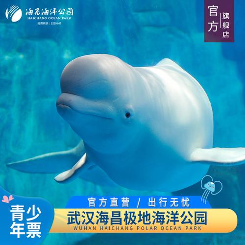 海昌海洋公园门票是一票畅玩吗?海昌海洋公园小孩收费-图2 海昌海洋公园门票是一票畅玩吗?海昌海洋公园小孩收费-图2