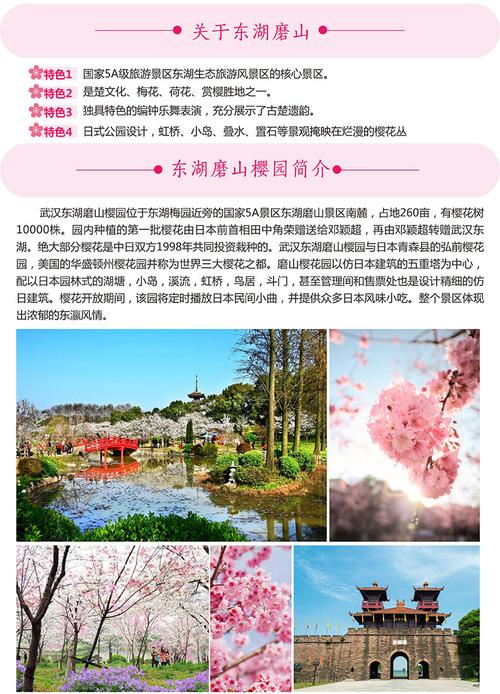 东湖樱花园哪里买门票便宜？武汉东湖梅园和樱园门票怎么收费