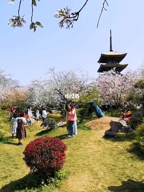 东湖樱花园哪里买门票便宜?武汉东湖梅园和樱园门票怎么收费-图3 东湖樱花园哪里买门票便宜?武汉东湖梅园和樱园门票怎么收费-图3
