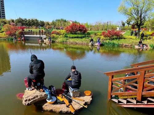 请问武汉哪里有免费钓鱼的地方呢?秀湖公园 停车场收费吗-图3 请问武汉哪里有免费钓鱼的地方呢?秀湖公园 停车场收费吗-图3