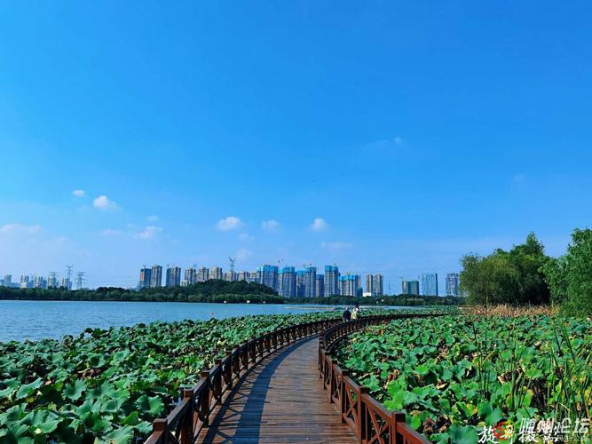 武汉湿地公园关门时间?武汉后官湖湿地公园收费嘛-图2 武汉湿地公园关门时间?武汉后官湖湿地公园收费嘛-图2